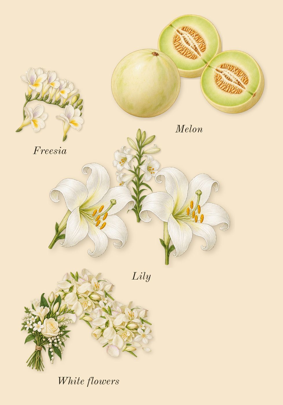 L'Eau d'Issey, heart: Lily, White flowers, Melon, Freesia