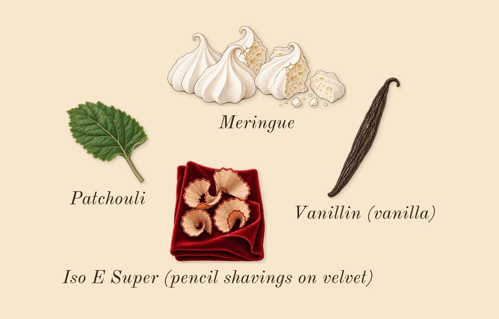 Gaultier Divine, dry-down: Meringue, Patchouli, Iso E Super (pencil shavings on velvet), Vanillin (vanilla)