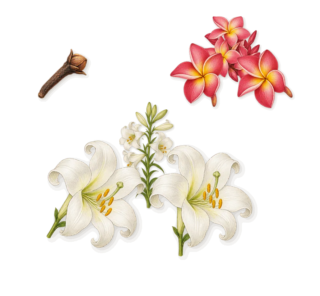 Gaultier Divine Le Parfum, as it settles: Lily, Frangipani, Eugenol (clove)