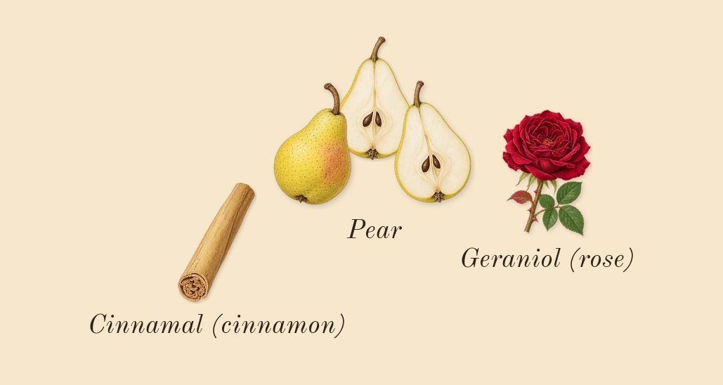 La Belle, heart: Pear, Geraniol (rose), Cinnamal (cinnamon)