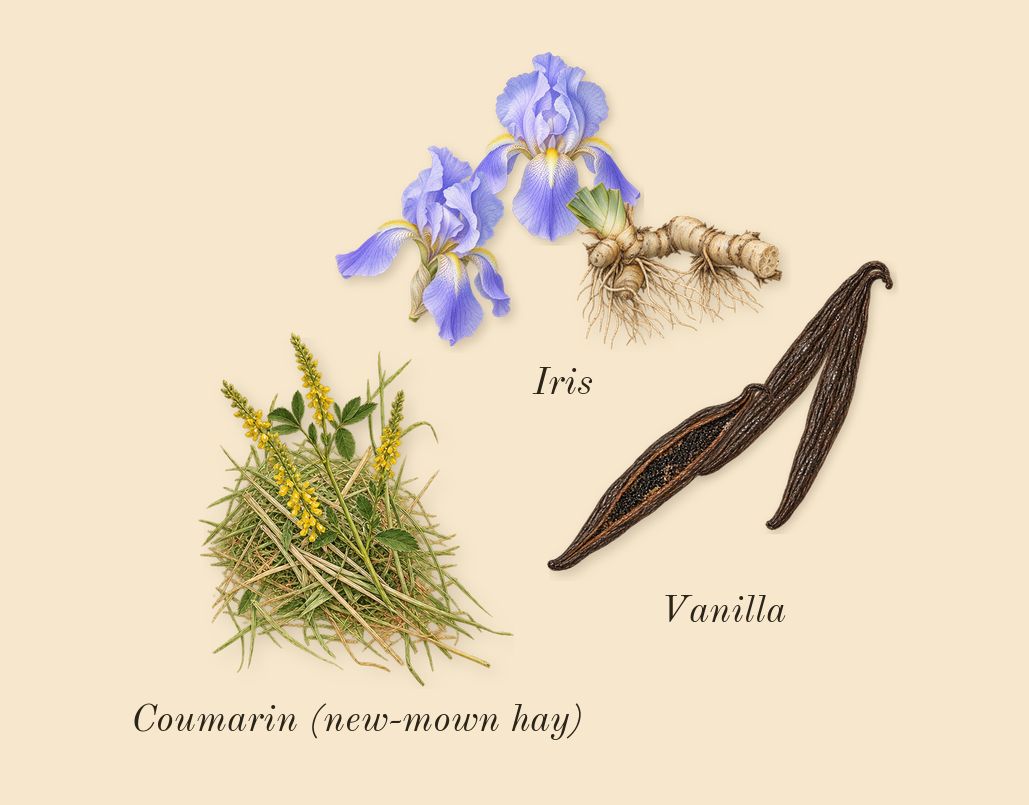 La Belle Paradise Garden, dry-down: Iris, Vanilla, Coumarin (new-mown hay)