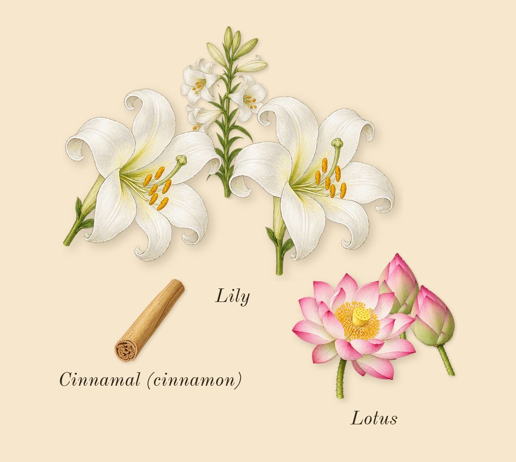 La Belle Paradise Garden, heart: Lotus, Lily, Cinnamal (cinnamon)