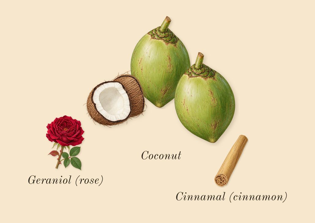 Le Beau, heart: Coconut, Geraniol (rose), Cinnamal (cinnamon)
