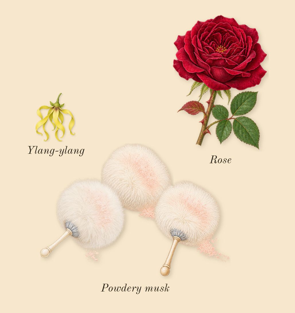 Le Beau Narcisse, heart: Powdery musk, Ylang-ylang, Rose