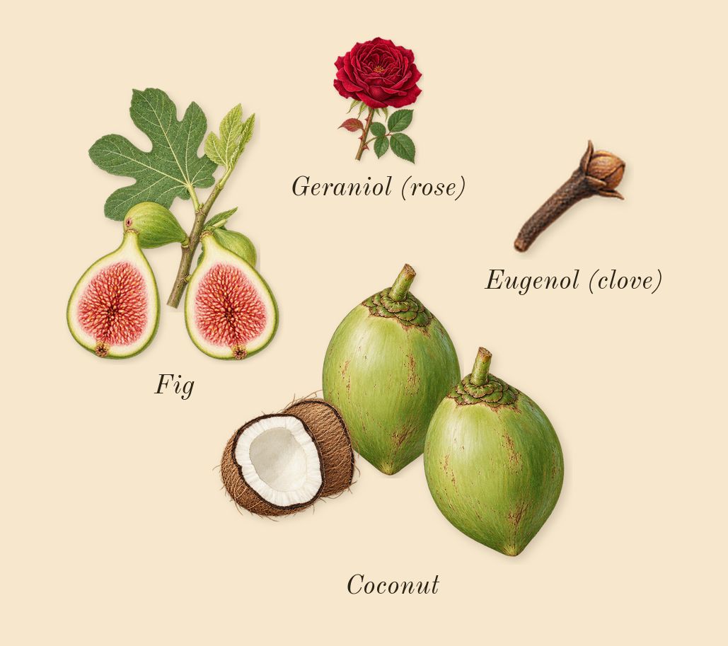 Le Beau Paradise Garden, heart: Coconut, Fig, Geraniol (rose), Eugenol (clove)