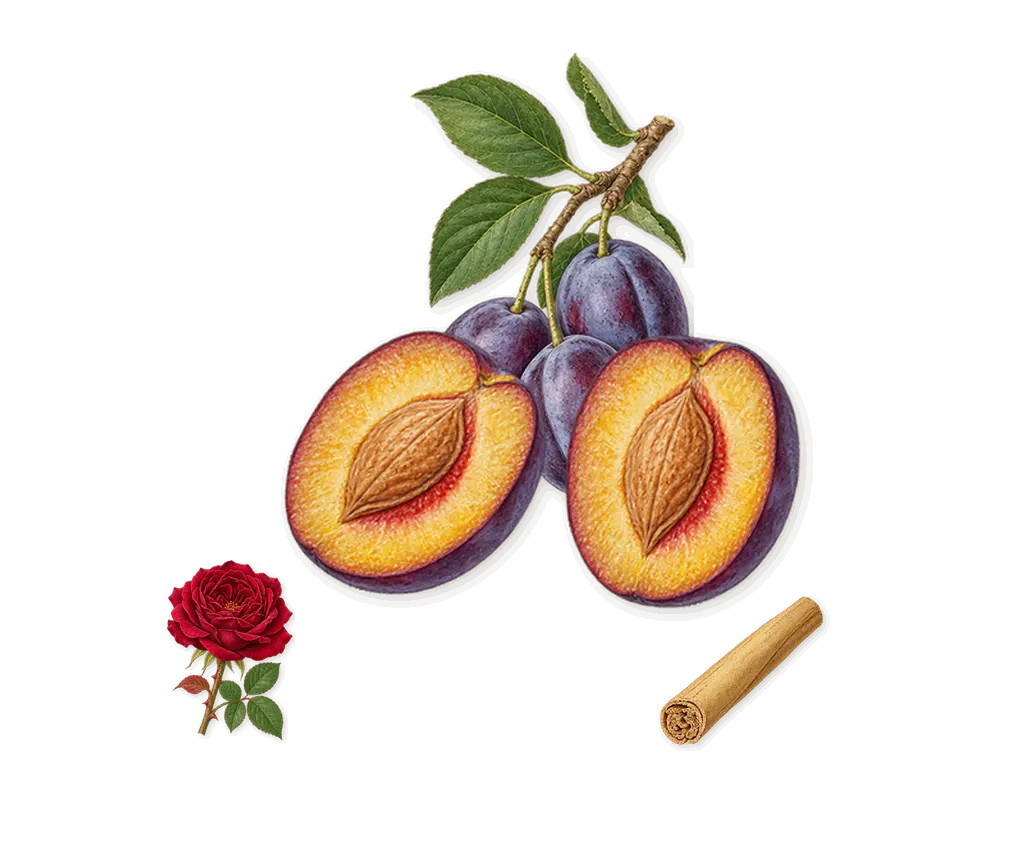 Le Male Elixir Absolu, as it settles: Plum, Geraniol (rose), Cinnamal (cinnamon)