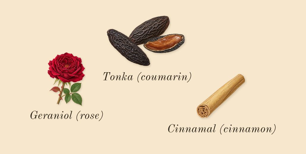 Le Male Elixir, heart: Tonka (coumarin), Geraniol (rose), Cinnamal (cinnamon)