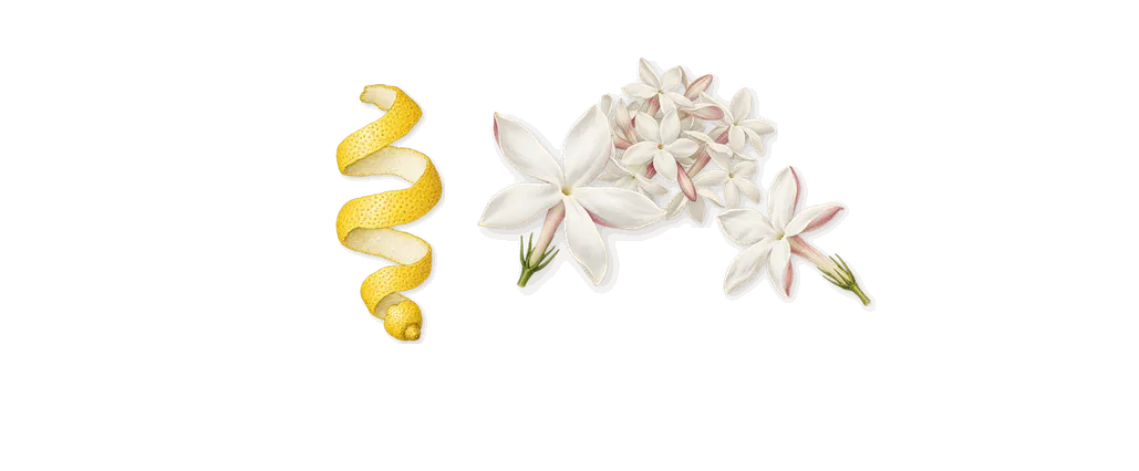 Scandal Le Parfum, when you spray it: Jasmine, Citral (lemon)