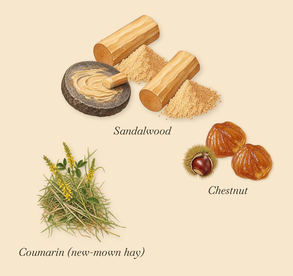 Scandal Pour Homme Absolu, what stays: Chestnut, Sandalwood, Coumarin (new-mown hay)