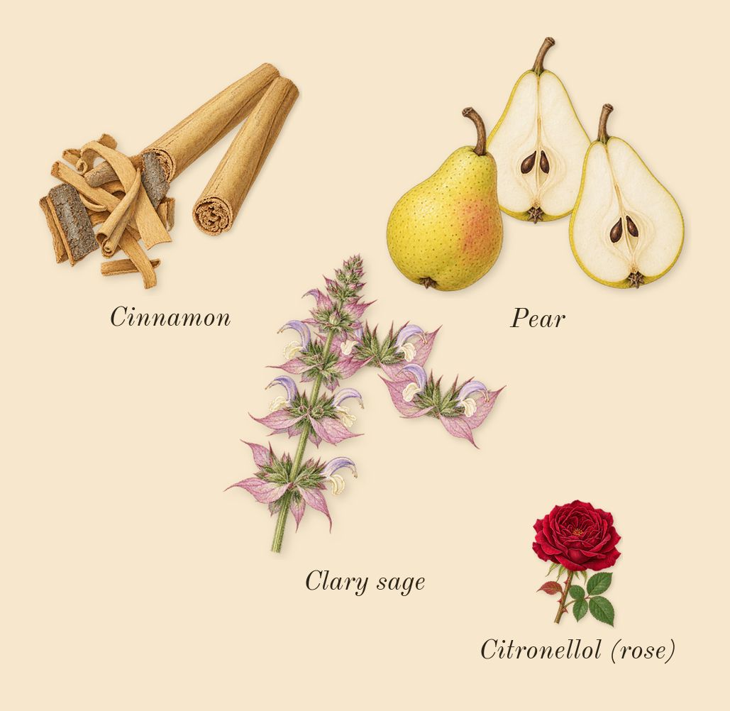 Ultra Male, heart: Pear, Cinnamon, Clary sage, Citronellol (rose)