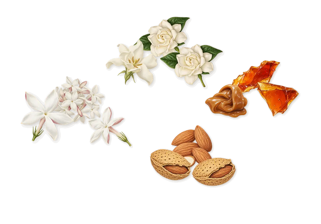 Fancy, as it settles: Caramel, Almond, Gardenia, Jasmine
