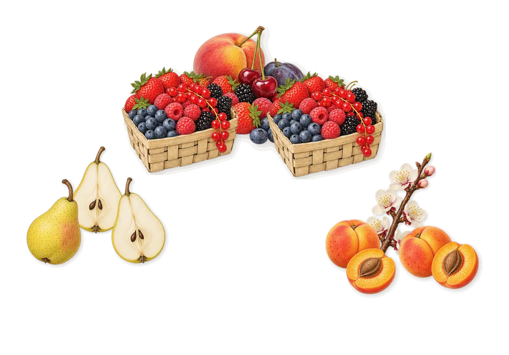 Fancy, when you spray it: Apricot, Pear, Red berries