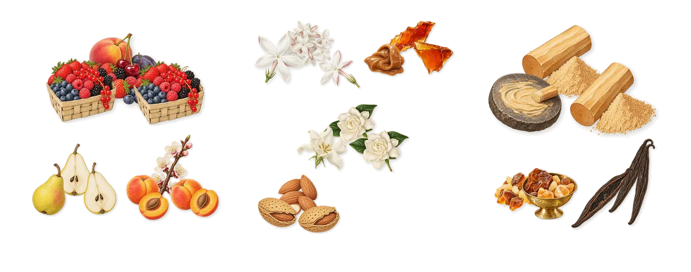 Fancy’s scent picture, a draft: apricot, pear, red berries, caramel, almond, gardenia drawn so far; dashed outlines where nothing is drawn yet