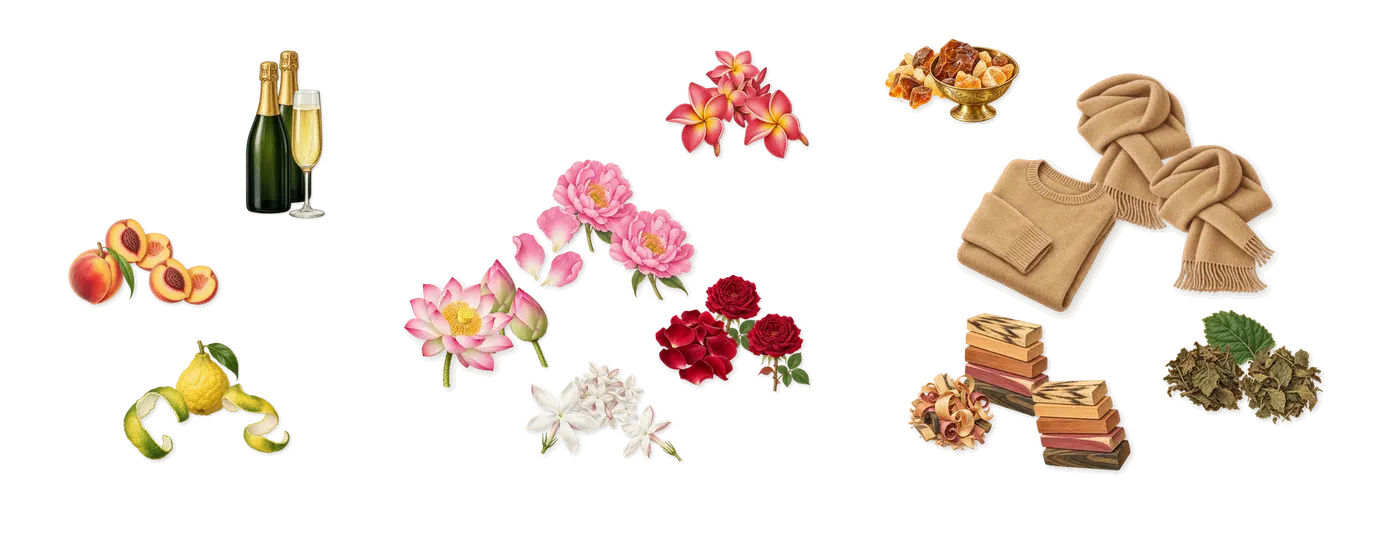 Fancy Love’s scent picture, a draft: peach, champagne, bergamot, frangipani, jasmine, peony drawn so far; dashed outlines where nothing is drawn yet