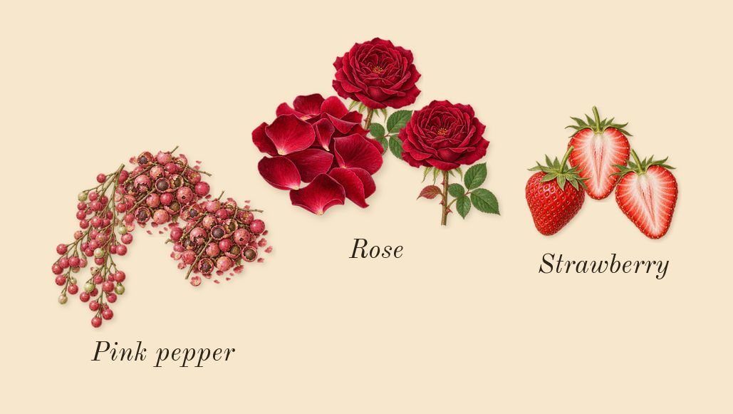 I Want Choo Forever, top notes: Strawberry, Pink pepper, Rose