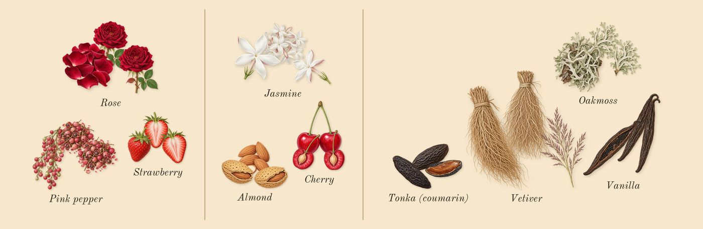 I Want Choo Forever’s scent picture, a draft: strawberry, pink pepper, rose, cherry, almond, jasmine drawn so far; dashed outlines where nothing is drawn yet
