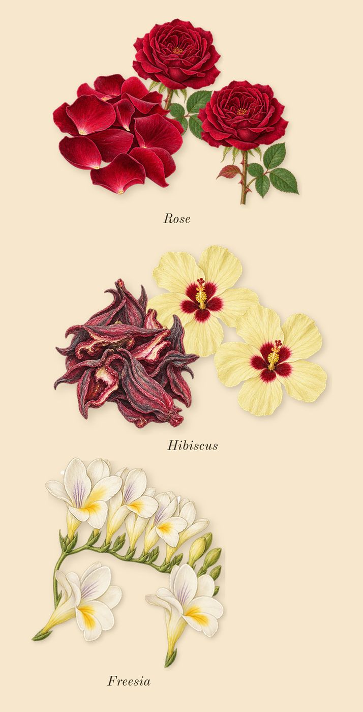 I Want Choo With Love, heart: Rose, Hibiscus, Freesia