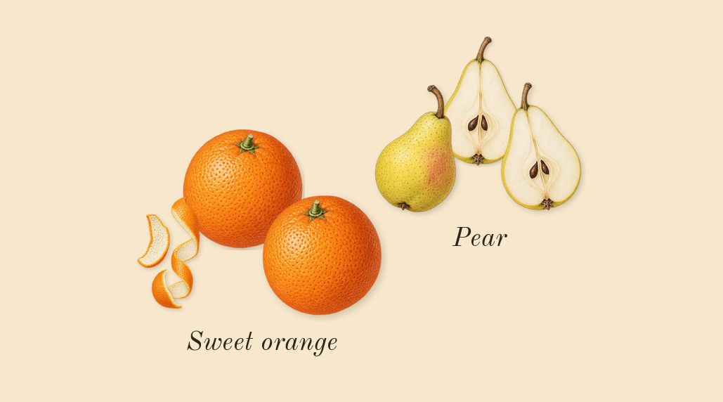 Jimmy Choo, top notes: Pear, Sweet orange