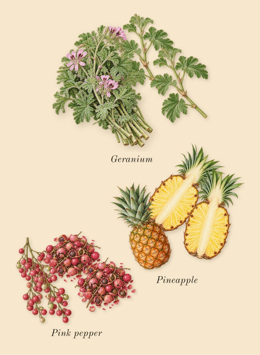 Man, heart: Pink pepper, Geranium, Pineapple