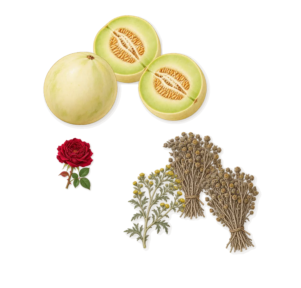 Man Intense, as it settles: Melon, Davana, Geraniol (rose)