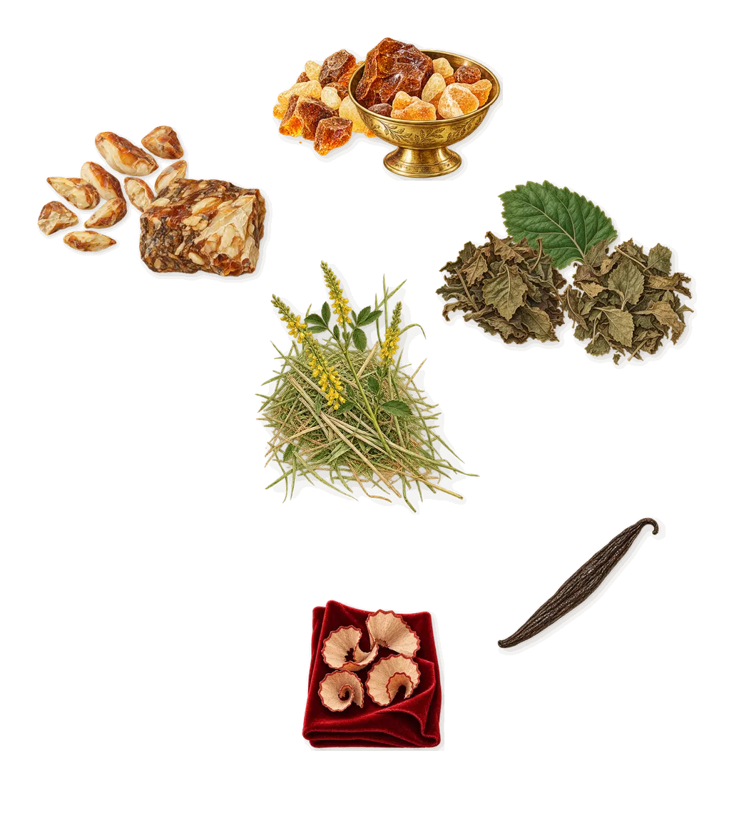 Man, what stays: Amber, Benzoin, Patchouli, Iso E Super (pencil shavings on velvet), Coumarin (new-mown hay), Vanillin (vanilla)