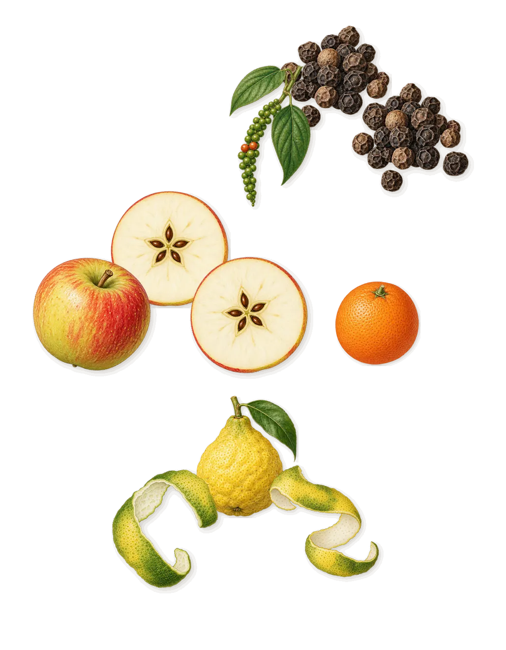 Man, when you spray it: Bergamot, Apple, Black pepper, Sweet orange