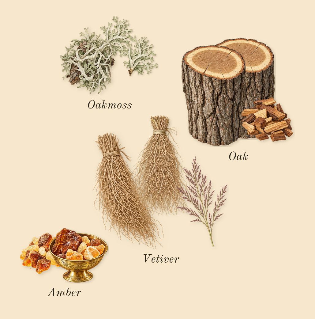 English Oak & Hazelnut Cologne, dry-down: Oak, Vetiver, Oakmoss, Amber