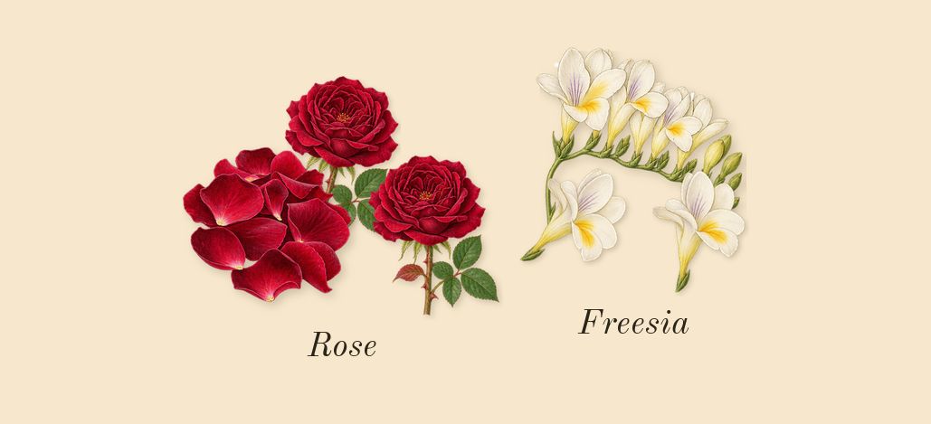 English Pear & Freesia Cologne, heart: Freesia, Rose
