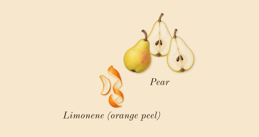 English Pear & Freesia Cologne, top notes: Pear, Limonene (orange peel)