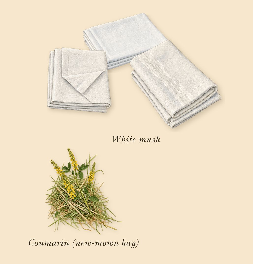 English Pear & Sweet Pea Cologne, dry-down: White musk, Coumarin (new-mown hay)