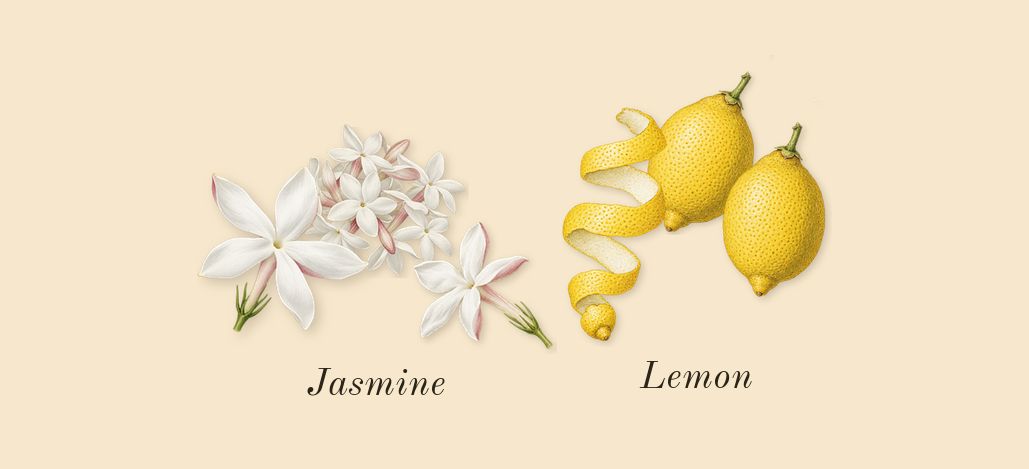 Frangipani Flower Cologne, top notes: Jasmine, Lemon