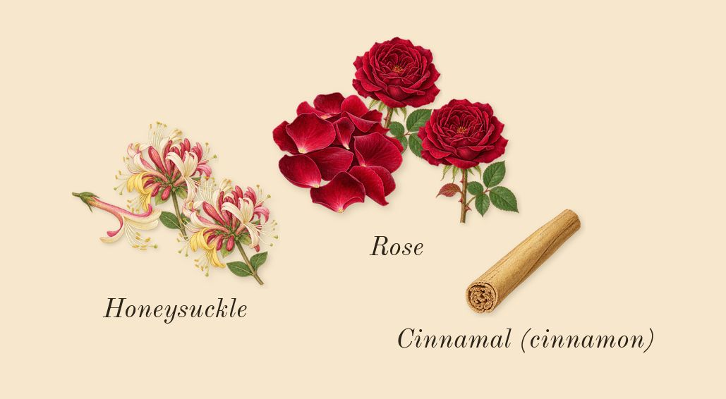 Honeysuckle & Davana Cologne, heart: Honeysuckle, Rose, Cinnamal (cinnamon)