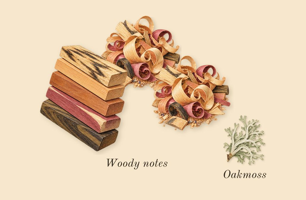 Lime Basil & Mandarin Cologne, dry-down: Woody notes, Oakmoss