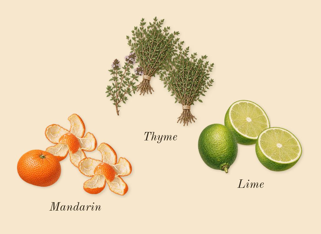 Lime Basil & Mandarin Cologne, top notes: Mandarin, Lime, Thyme