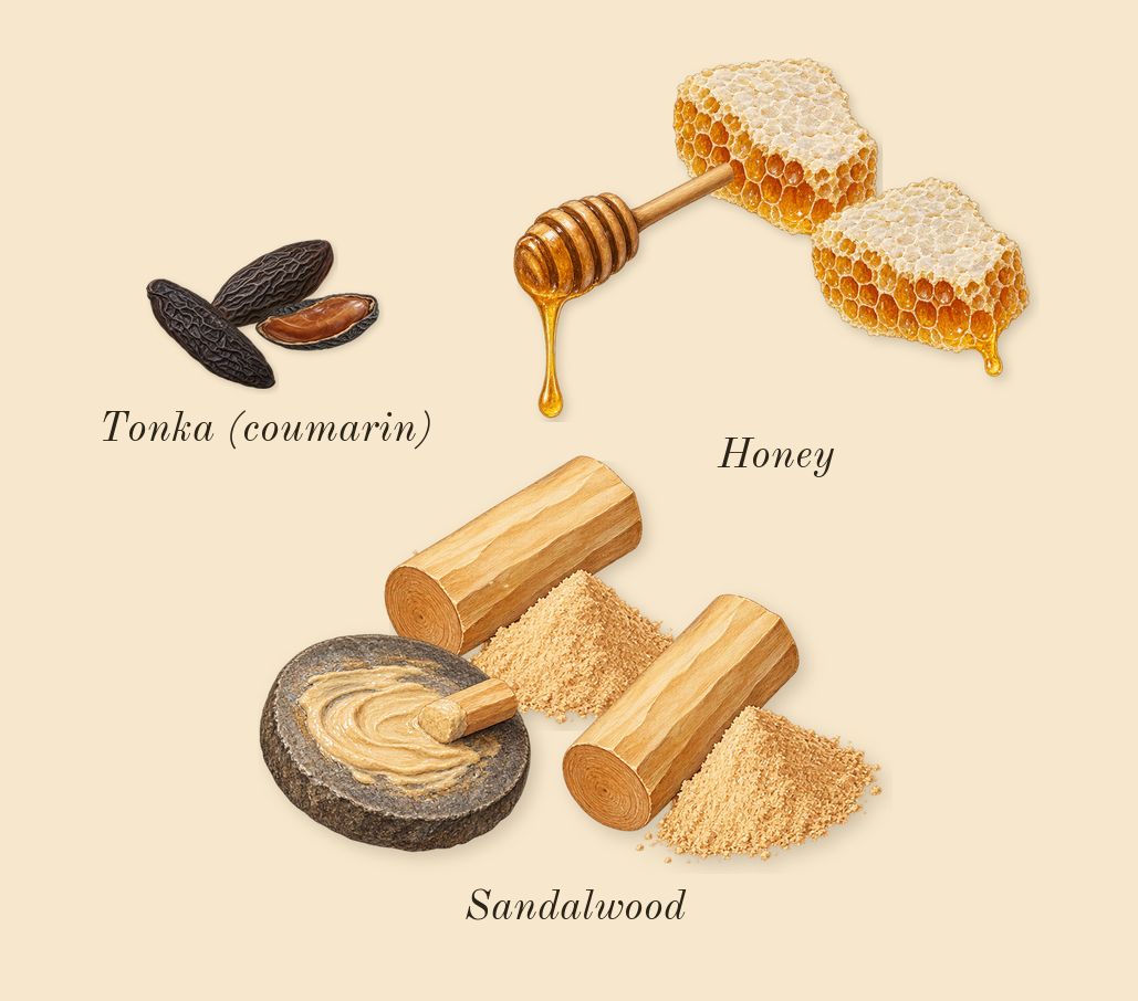 Mimosa & Cardamom Cologne, dry-down: Tonka (coumarin), Sandalwood, Honey