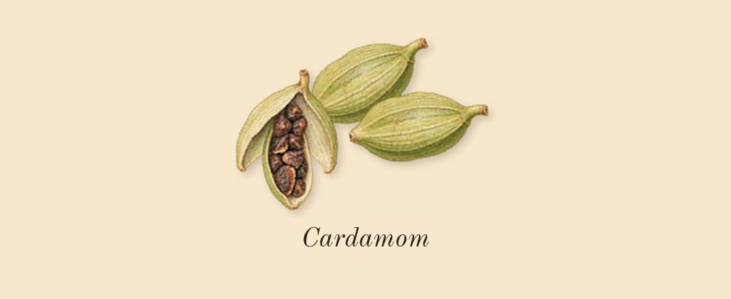 Mimosa & Cardamom Cologne, top notes: Cardamom