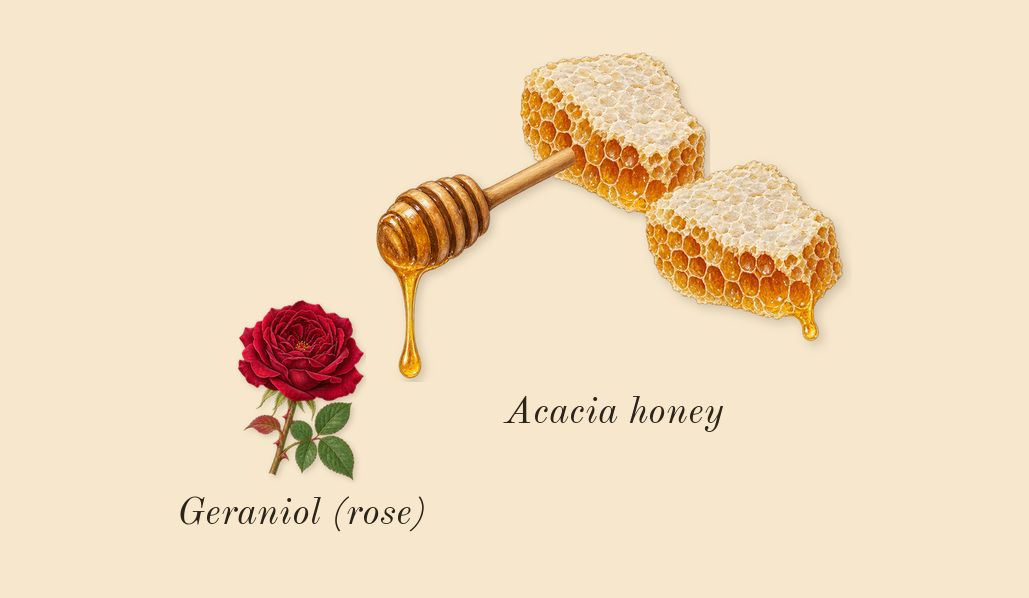 Nectarine Blossom & Honey Cologne, heart: Acacia honey, Geraniol (rose)