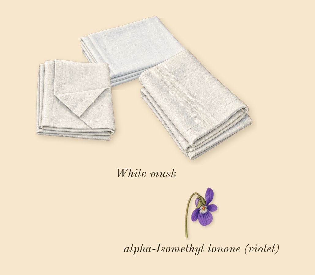 Raspberry Ripple Cologne, dry-down: White musk, alpha-Isomethyl ionone (violet)
