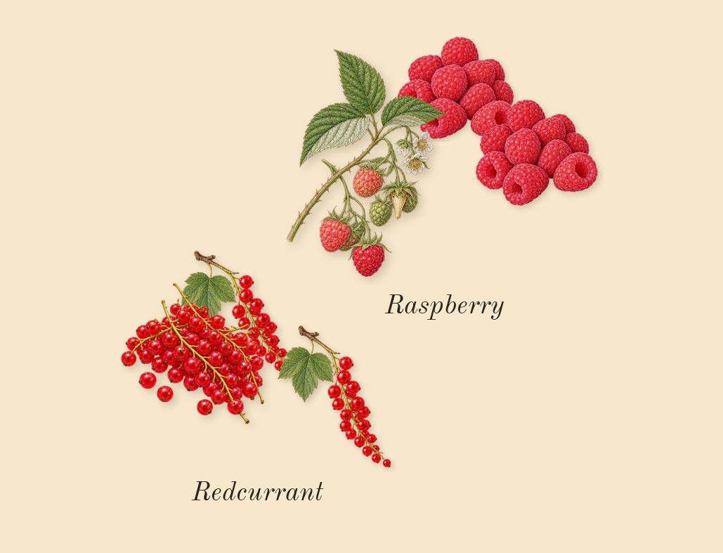 Raspberry Ripple Cologne, heart: Raspberry, Redcurrant