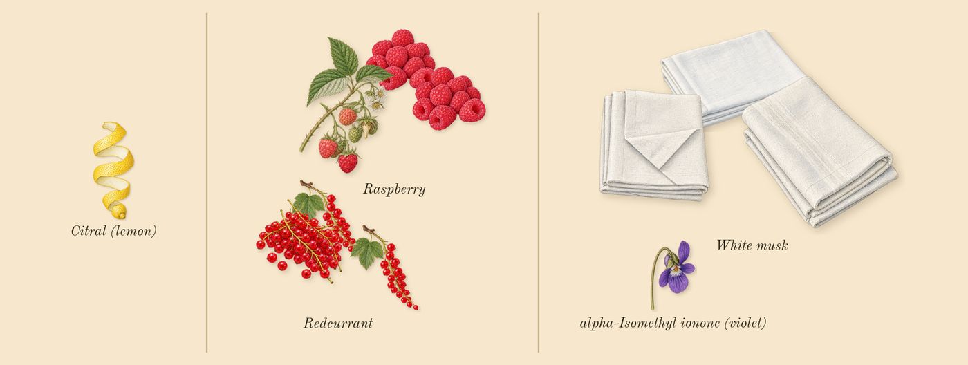 Raspberry Ripple Cologne’s scent picture, a draft: raspberry, redcurrant, white musk, citral (lemon), alpha-isomethyl ionone (violet) drawn so far; dashed outlines where nothing is drawn yet