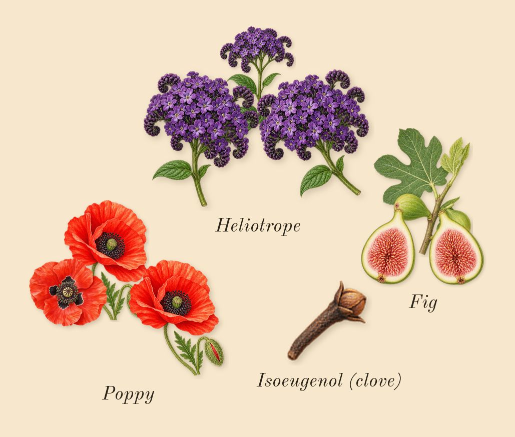 Scarlet Poppy Cologne Intense, heart: Poppy, Fig, Heliotrope, Isoeugenol (clove)