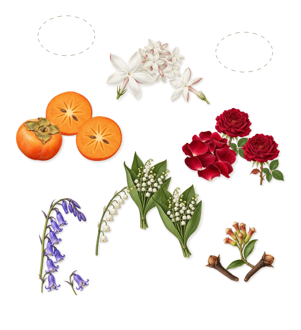 Wild Bluebell Cologne, as it settles: Bluebells, Lily of the valley, Eglantine, Persimmon, Bluebell, Clove, Rose, Jasmine
