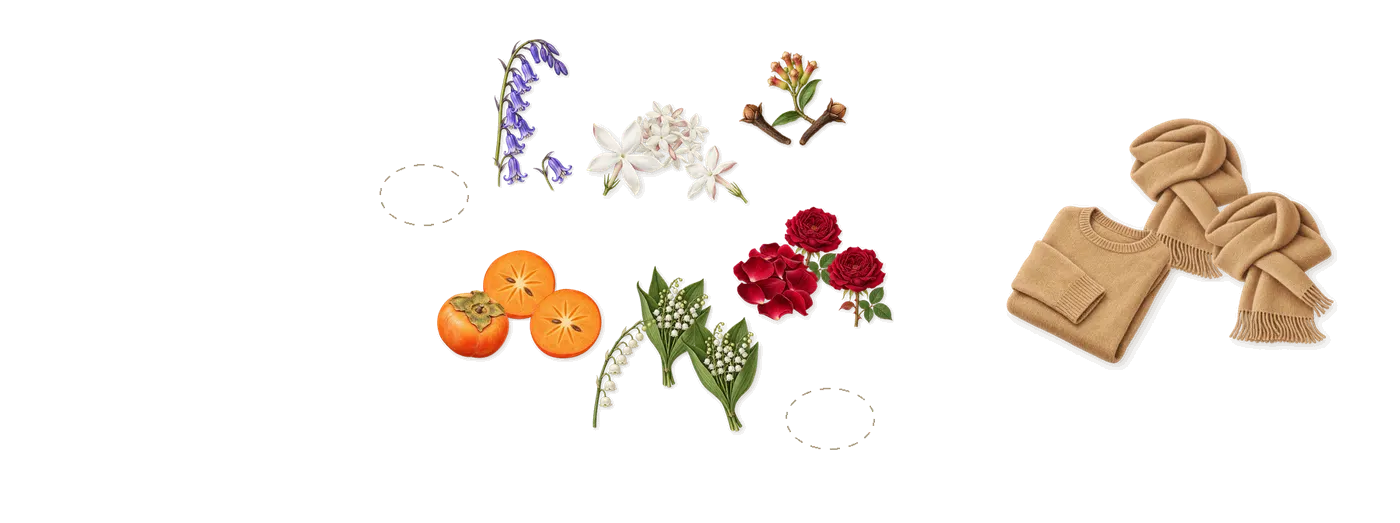 Wild Bluebell Cologne’s scent picture, a draft: lily of the valley, persimmon, bluebell, clove, rose, jasmine drawn so far; dashed outlines where nothing is drawn yet