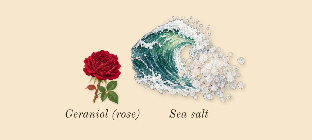 Wood Sage & Sea Salt Cologne, heart: Sea salt, Geraniol (rose)