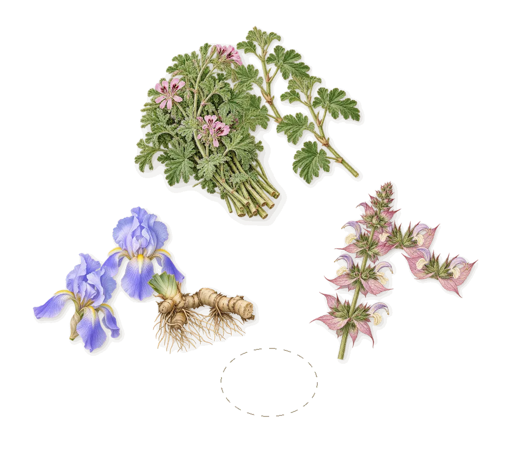 Artisan Blu, as it settles: Geranium, Palmarosa, Clary sage, Iris
