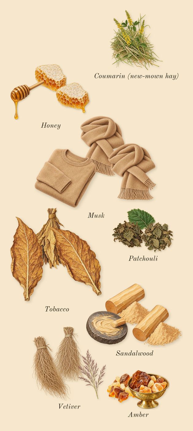 Homme, dry-down: Sandalwood, Vetiver, Patchouli, Amber, Tobacco, Musk, Honey, Coumarin (new-mown hay)