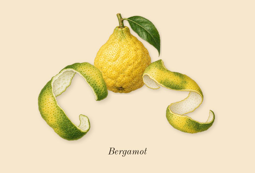Homme, top notes: Bergamot