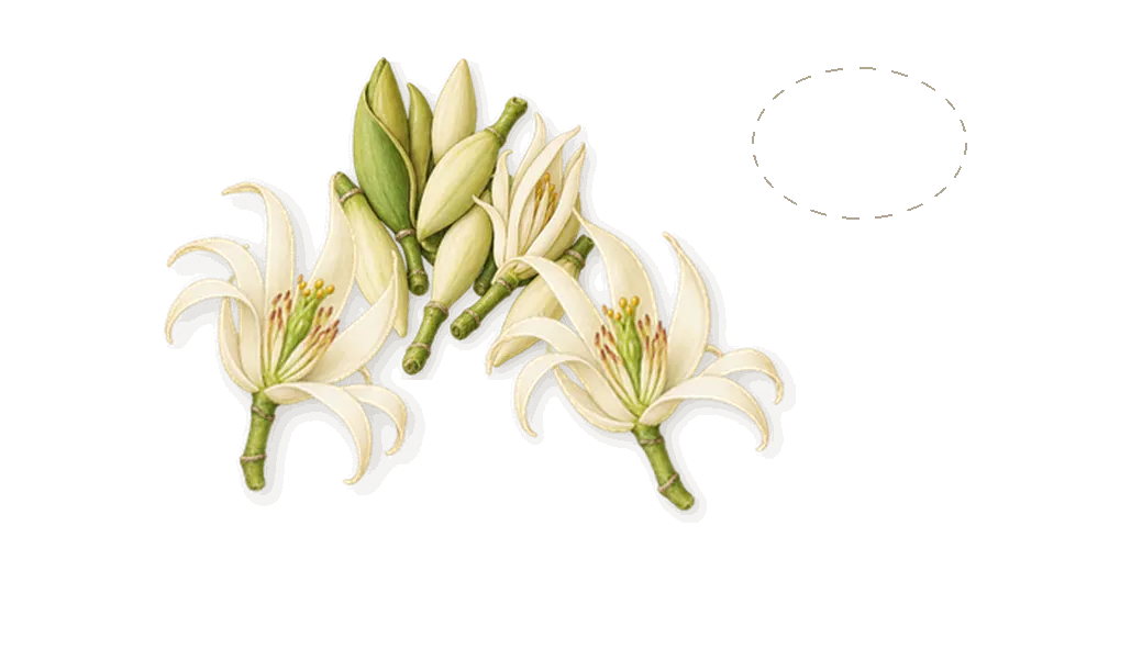 Le Bain, when you spray it: Lychees, Magnolia