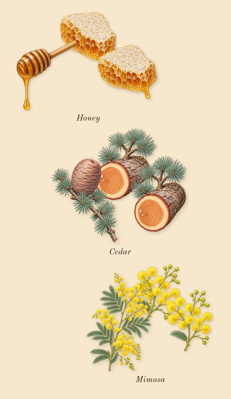 Journey Woman, heart: Mimosa, Honey, Cedar