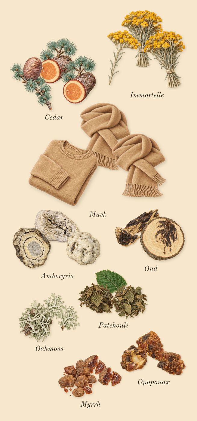 Jubilation XXV Man, dry-down: Patchouli, Opoponax, Myrrh, Cedar, Musk, Oakmoss, Ambergris, Oud, Immortelle
